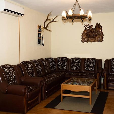 Arnota Villa Costesti  Екстериор снимка