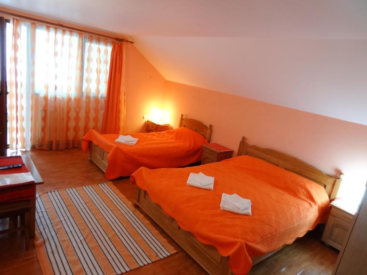 Arnota Villa Costesti  Екстериор снимка