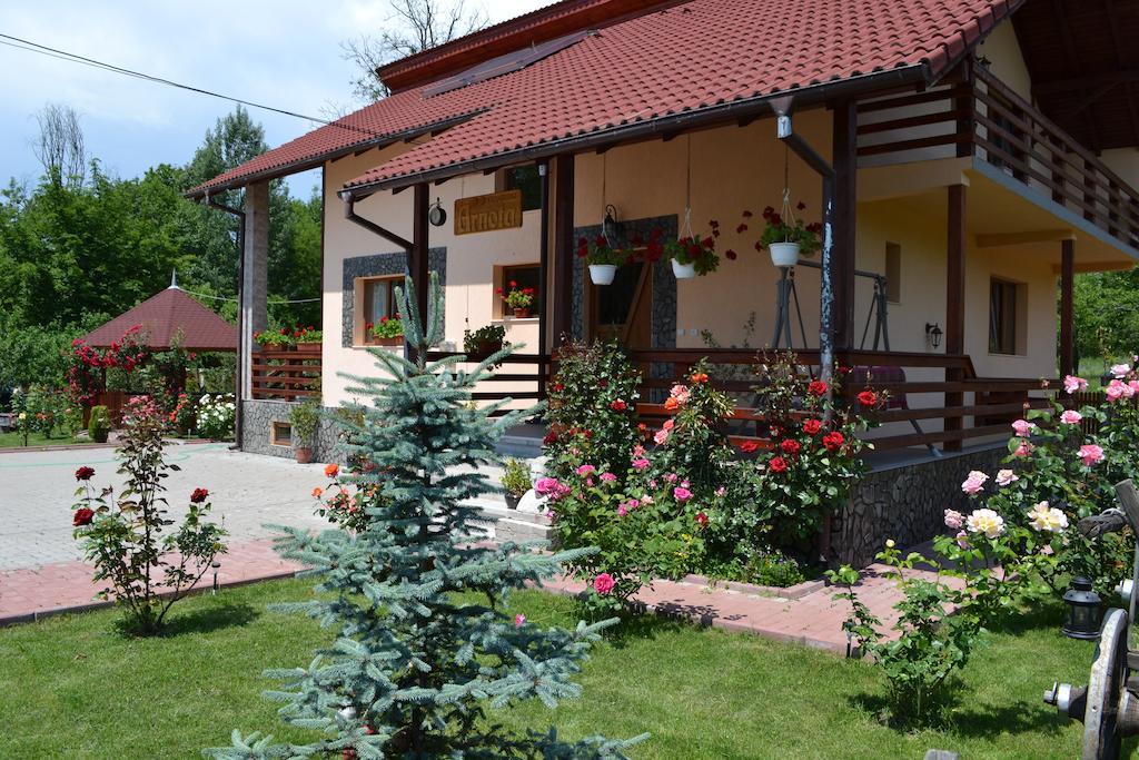 Arnota Villa Costesti  Екстериор снимка